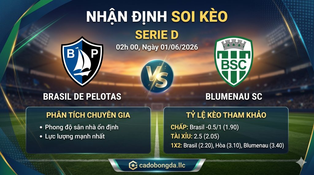 Nhận định soi kèo Brasil DE Pelotas vs Blumenau 02h 00 ngày 01/06/2026 – Serie D